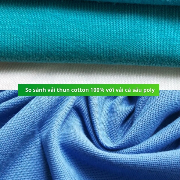 So sánh vải thun cotton 100% & vải thun cá sấu polyester