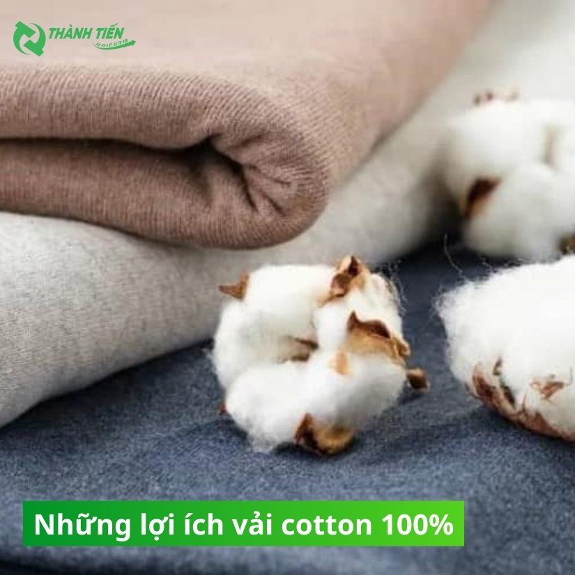 nhung-loi-ich-cua-vai-cotton-100